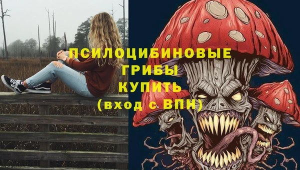 ГАЛЛЮЦИНОГЕННЫЕ ГРИБЫ Переславль-Залесский