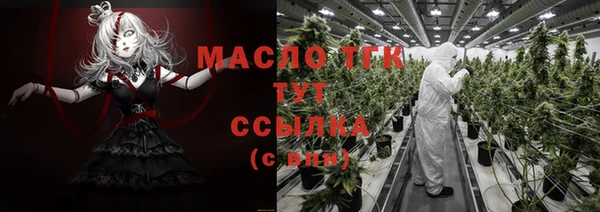 гидра Володарск