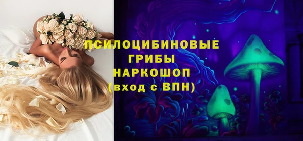 гидра Володарск