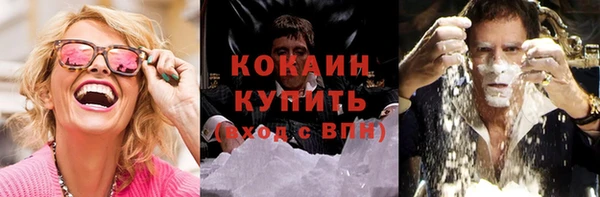 гидра Володарск